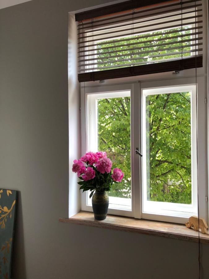 Bohemian Apartment In The Heart Of Old Ventspils City Exteriör bild